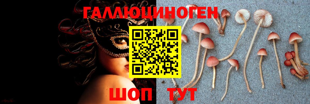 Псилоцибиновые грибы мицелий  Вход с VPN  Коломна 