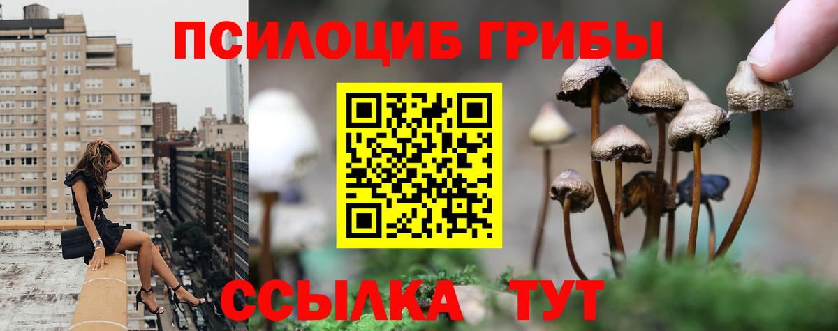 Коломна  Вход с VPN  Конопля  Лсд 25  ГАШИШ  Марихуана  ГАШИШ  Меф кристаллы  Экстази 
